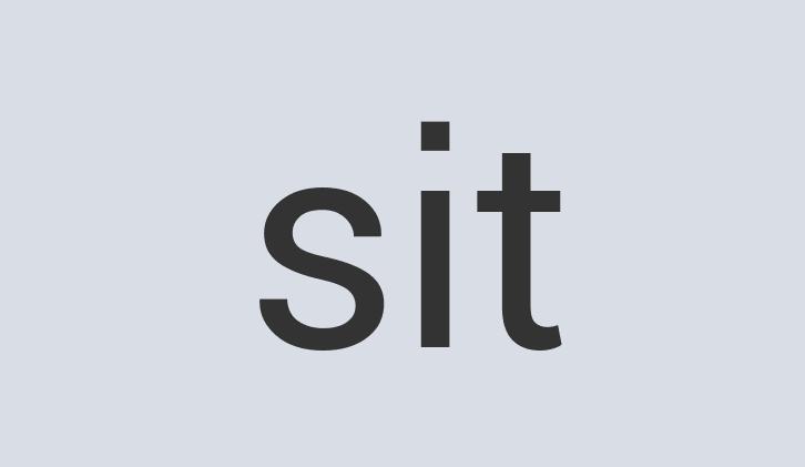 Aerodynamic Wooden Cyclovista